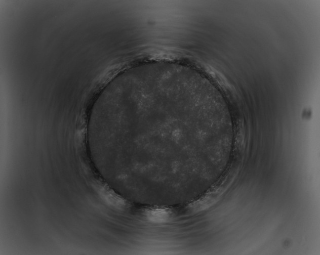 X0000100750513200807171415