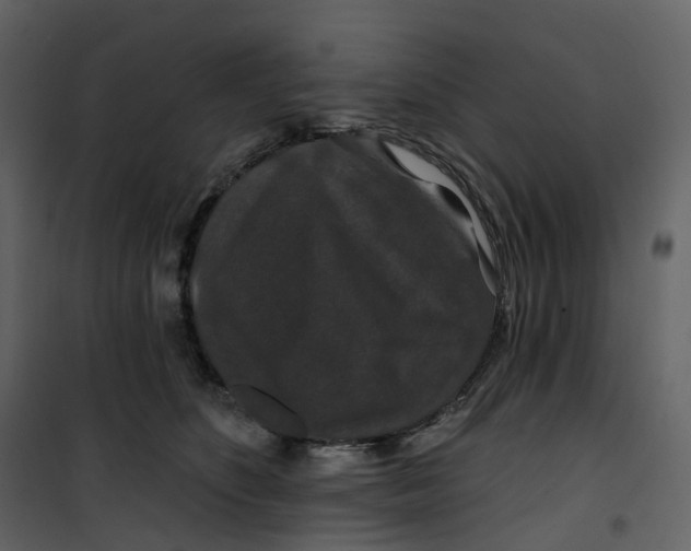 X0000100750516200807171415