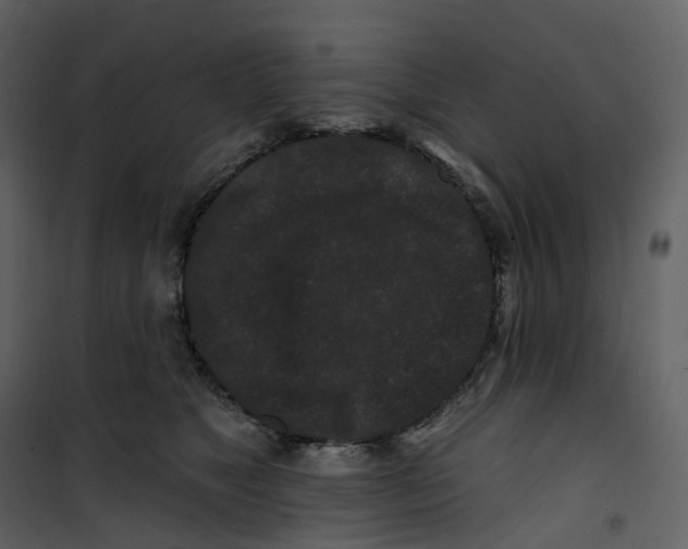 X0000100750517200807171415
