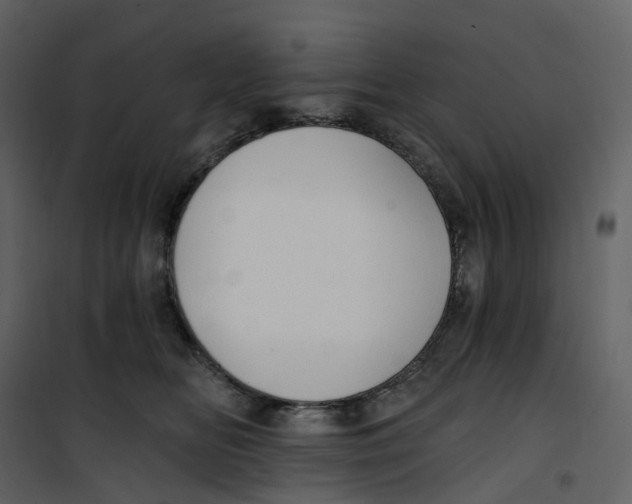 X0000100750518200807171415