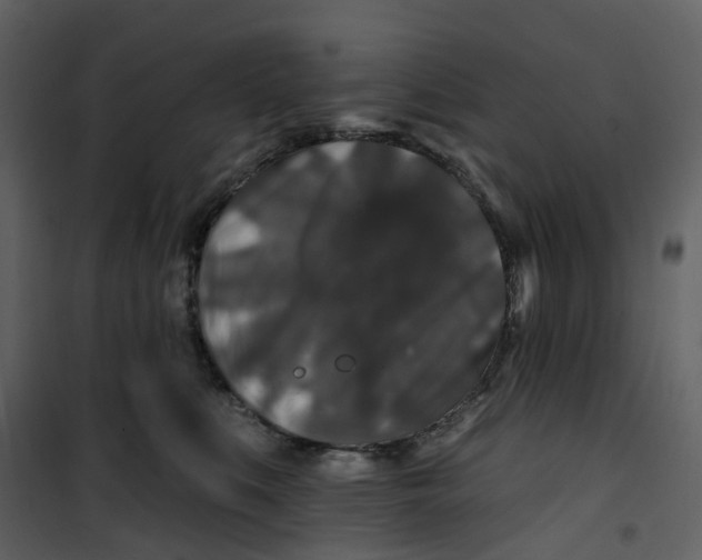 X0000100750519200807171415