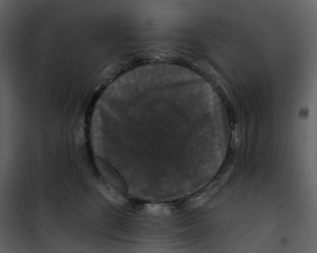 X0000100750520200807171415