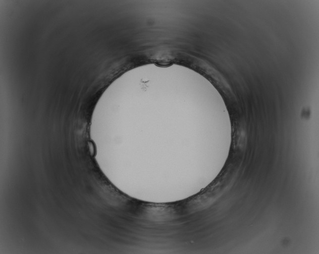 X0000100750521200807171415