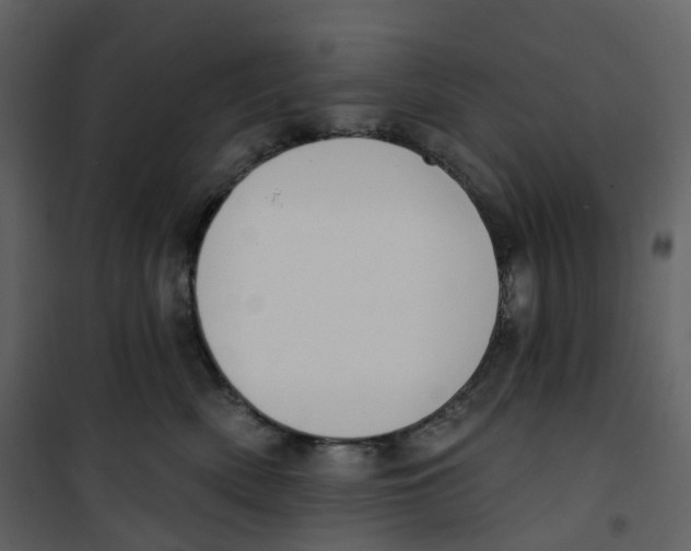 X0000100750522200807171415