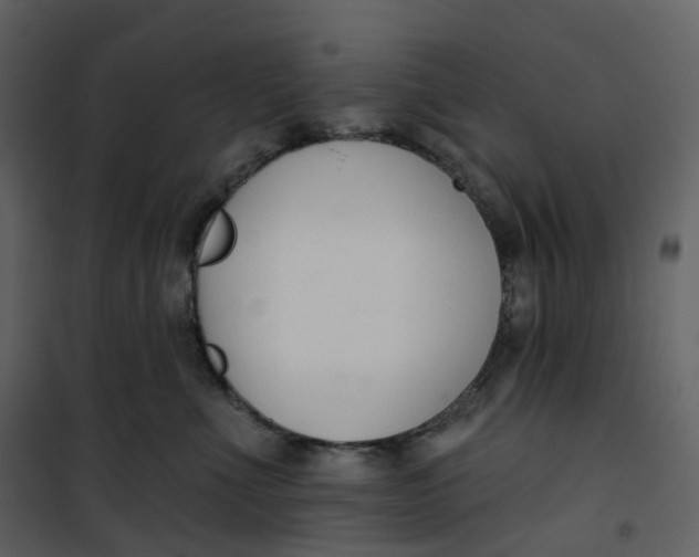 X0000100750523200807171415