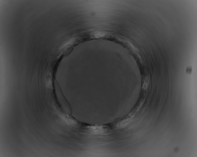 X0000100750524200807171415