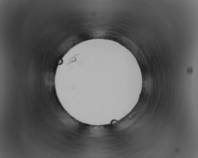 X0000100750525200807171415