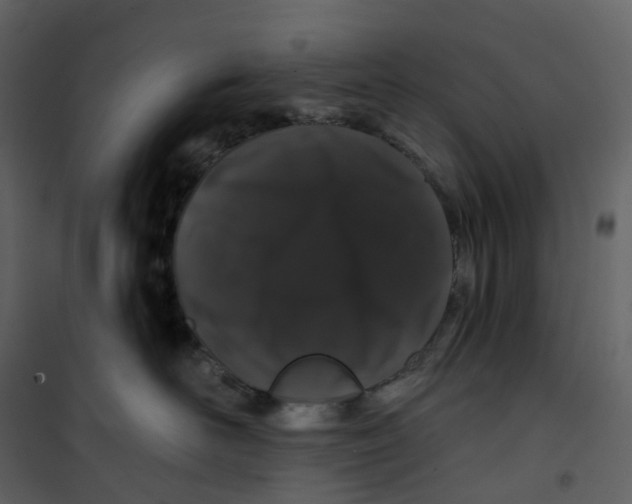 X0000100750526200807171415