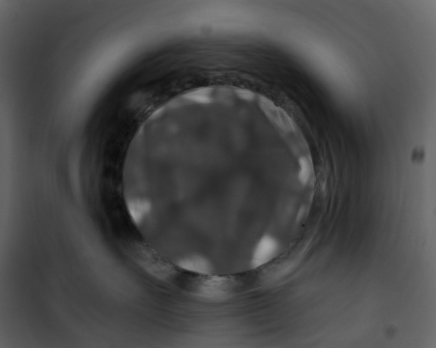 X0000100750527200807171415