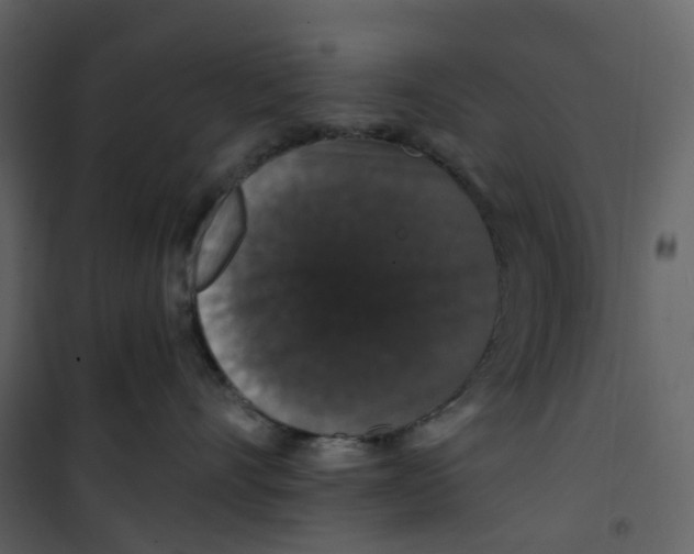 X0000100750528200807171414