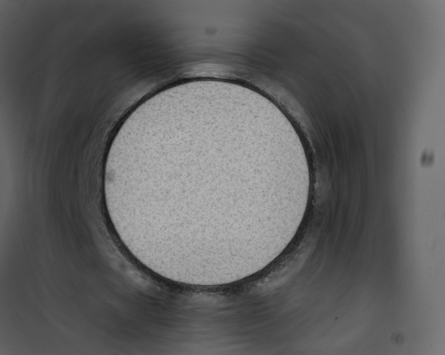 X0000100750529200807171414