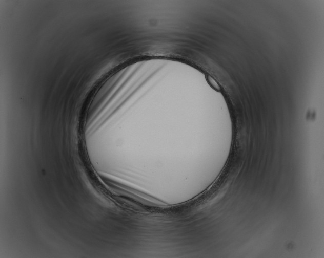 X0000100750530200807171414