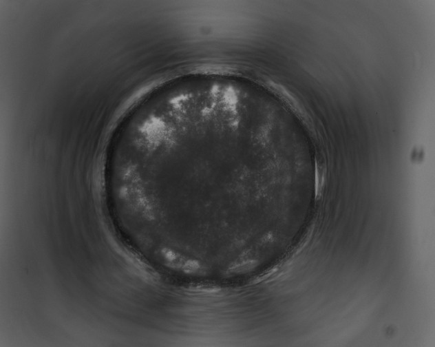 X0000100750531200807171414