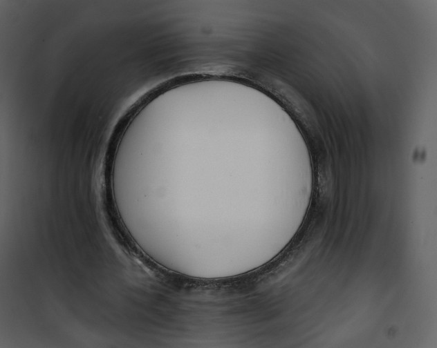 X0000100750532200807171414