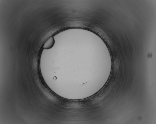 X0000100750533200807171414