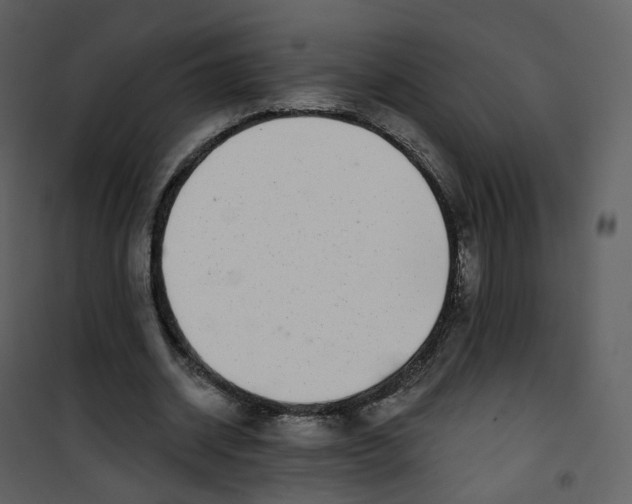 X0000100750534200807171414