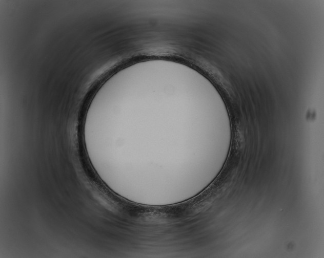 X0000100750535200807171414