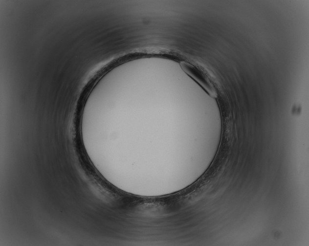 X0000100750536200807171414