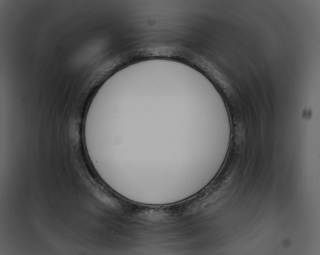 X0000100750537200807171414