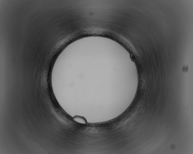X0000100750538200807171414