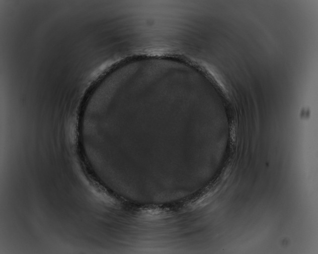 X0000100750540200807171414