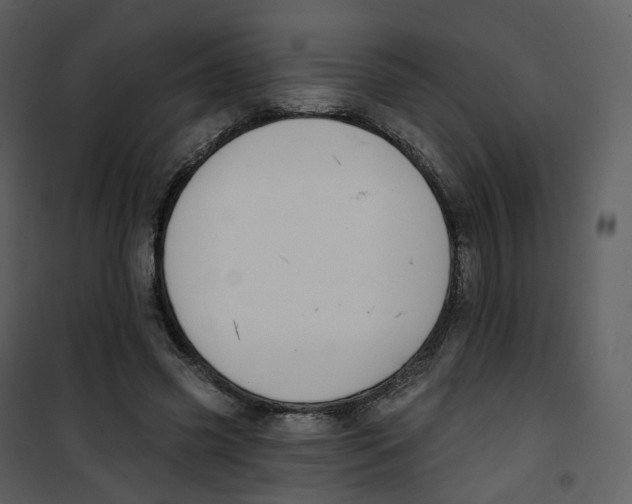 X0000100750541200807171414