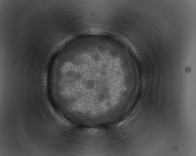 X0000100750542200807171414