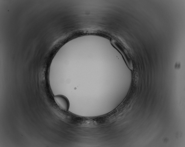 X0000100750543200807171414