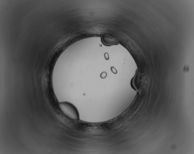X0000100750544200807171414