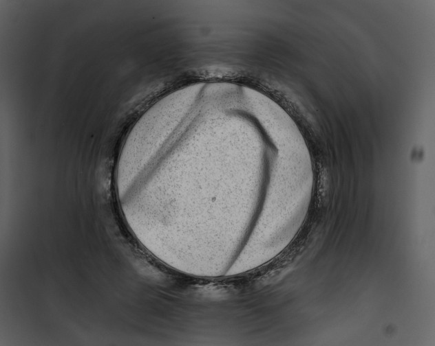 X0000100750545200807171414