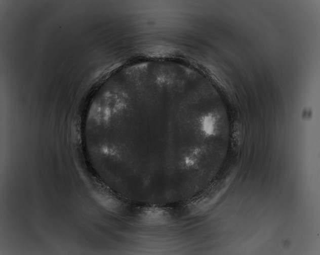 X0000100750547200807171414