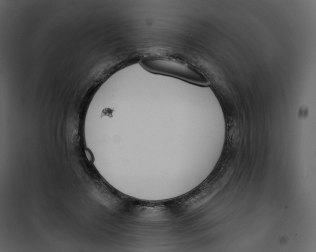 X0000100750548200807171414