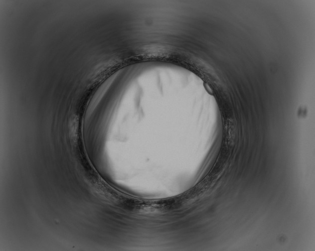 X0000100750550200807171414