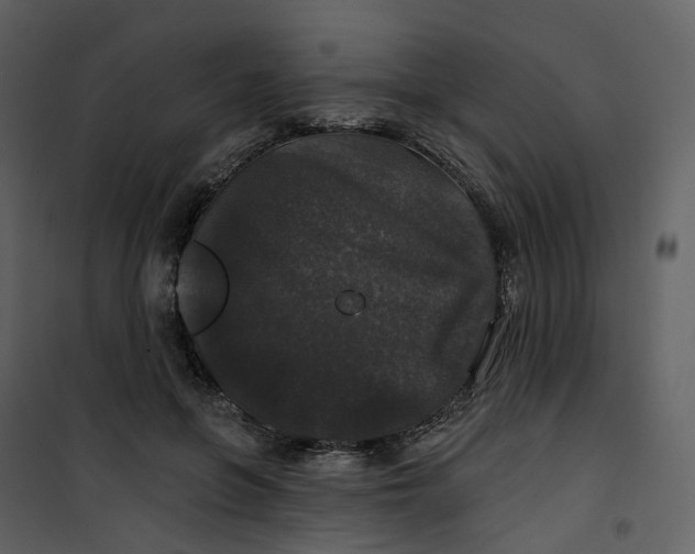 X0000100750551200807171414