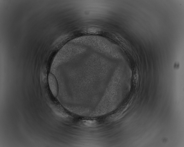 X0000100750552200807171414