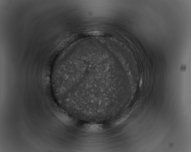 X0000100750553200807171414