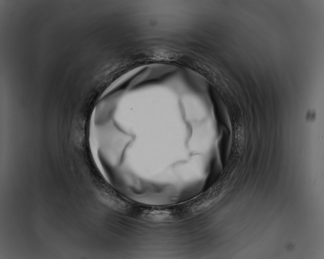 X0000100750554200807171414