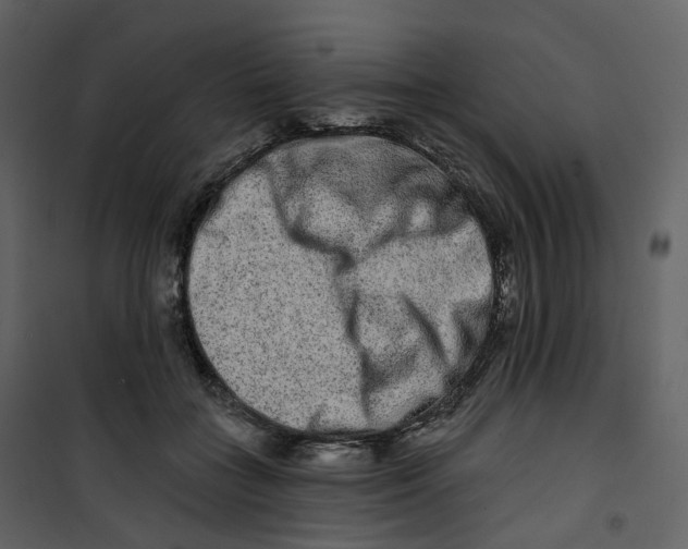 X0000100750555200807171414