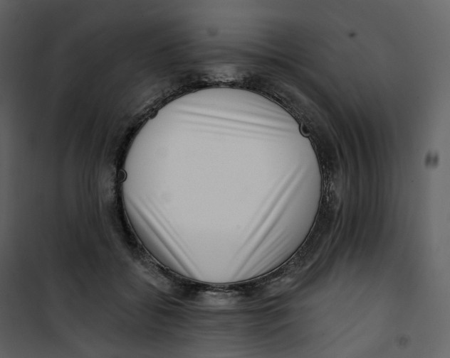 X0000100750556200807171414