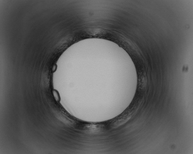 X0000100750558200807171414