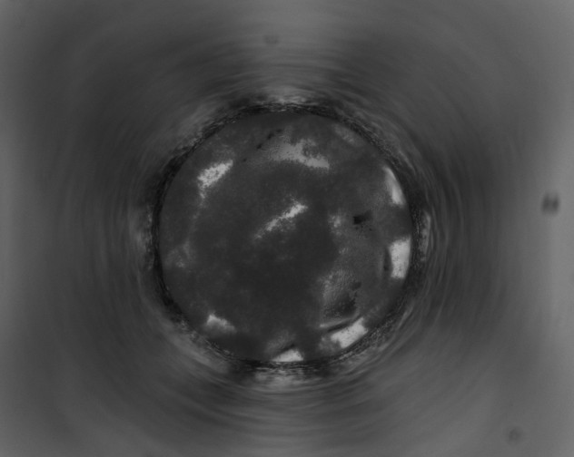X0000100750559200807171414