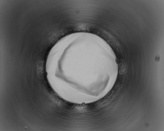 X0000100750560200807171414