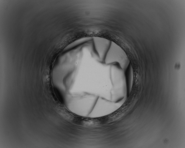 X0000100750561200807171414