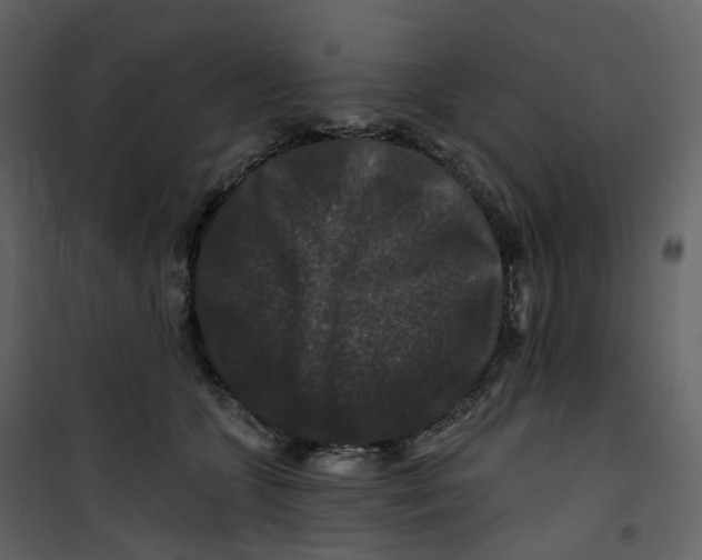 X0000100750563200807171414