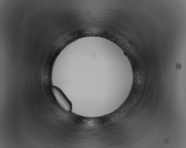 X0000100750564200807171414