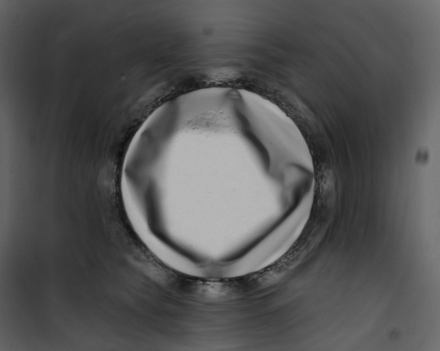 X0000100750565200807171414