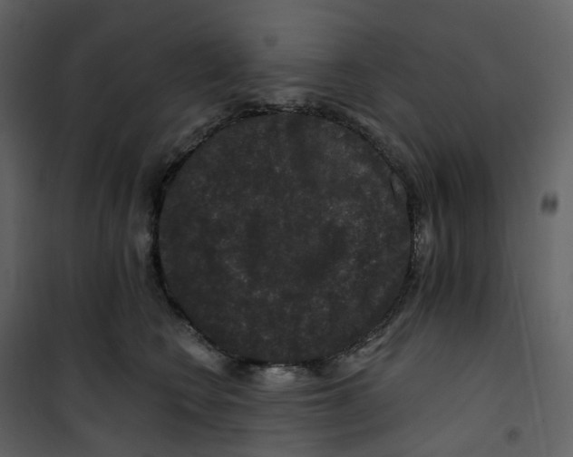 X0000100750566200807171414
