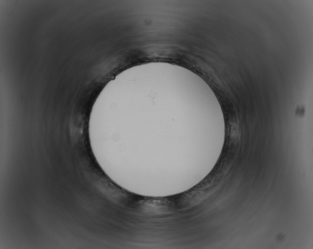X0000100750567200807171414