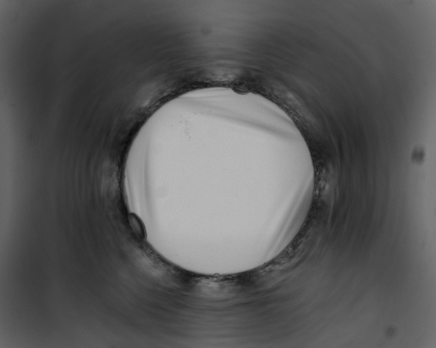 X0000100750568200807171414