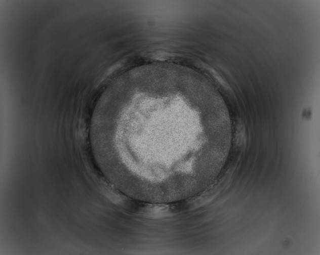 X0000100750569200807171414